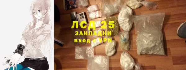 прущий лед Бородино