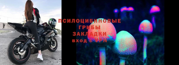 молекула духа Бугульма
