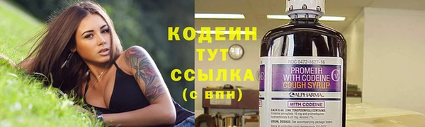 молекула духа Бугульма