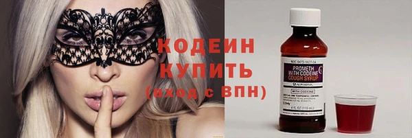прущий лед Бородино