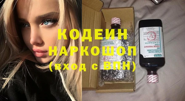 прущий лед Бородино