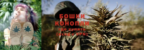 прущий лед Бородино