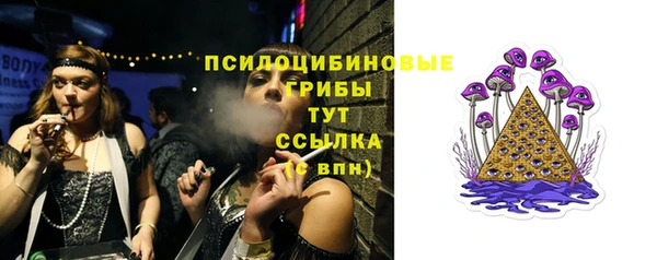 прущий лед Бородино