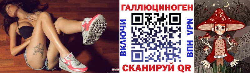 Купить где  Кстово  Галлюциногенные грибы GOLDEN TEACHER 